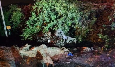 Adana'da köpeğe çarpan otomobil takla attı: 1 ölü, 2 yaralı
